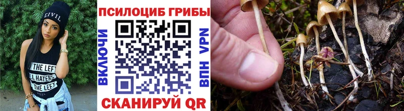 закладки  мега зеркало  Галлюциногенные грибы Magic Shrooms  Валдай 